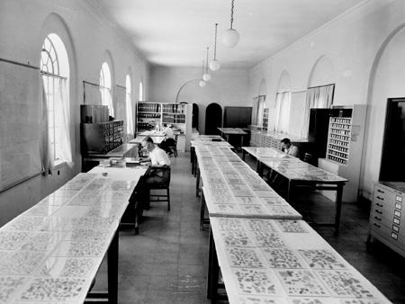 Scholars examining the Dead Sea Scroll fragments